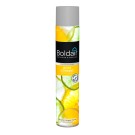 AEROSOL DESODORISANT WC BOLDAIR PARFUMANT 500 ML ZESTE CITRONNE