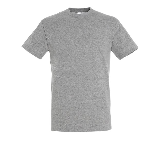 T-SHIRT KLEUR - Sport grey 