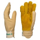 Handschoen 1549 EPA coq 